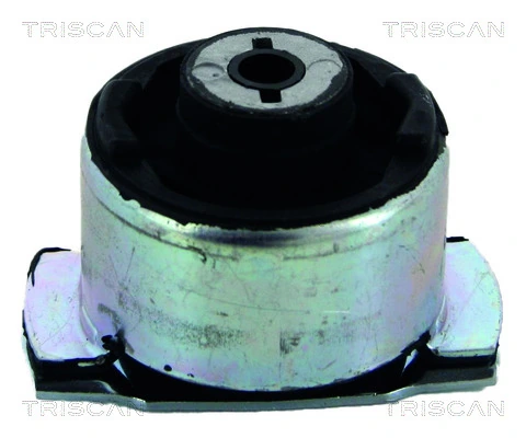 8200051813 Renault (RVI) Bloco silencioso de viga traseira (de plataforma veicular)