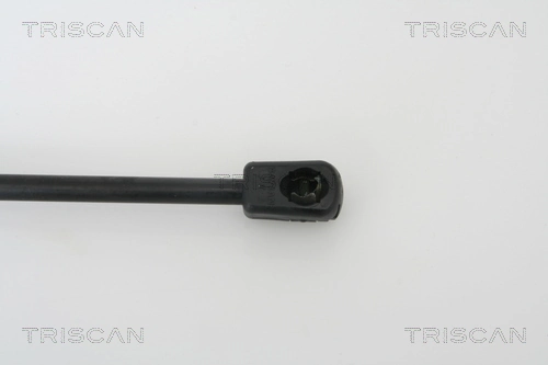 Compre RDW005 Montcada Amortecedor de tampa de porta-malas (de 3ª/5ª porta traseira)