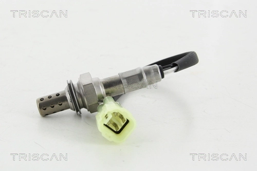 884569005 Triscan