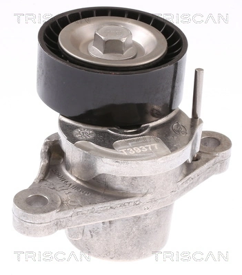 1613255380 Peugeot/Citroen Reguladora de tensão da correia de transmissão