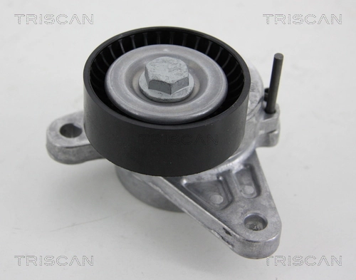 Compre Reguladora de tensão da correia de transmissão Seat Ibiza 5