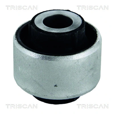  Bloco silencioso dianteiro do braço oscilante inferior Renault Megane III coupé (DZ0, DZ1) (2008 - 2016) III