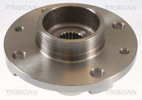 Cubo dianteiro Renault Twingo I C06