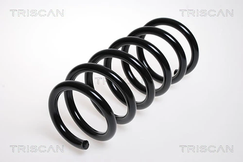 Mola dianteira para Nissan Primastar X83