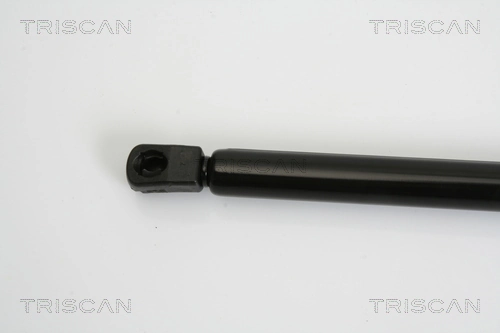  Amortecedor de tampa de porta-malas (de 3ª/5ª porta traseira) Citroen C4 PICASSO I monovolume (UD) (2006 - 2013) PICASSO I