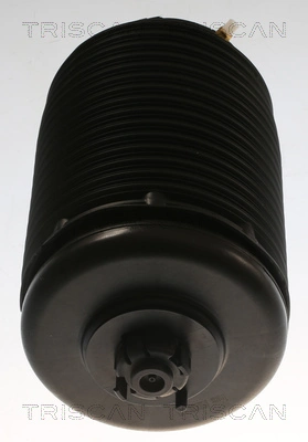 Coxim pneumático (suspensão de lâminas pneumática) do eixo traseiro REC60AS0047 Amity AP