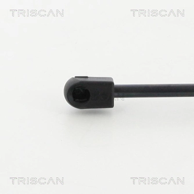 Amortecedor de tampa de porta-malas (de 3ª/5ª porta traseira) Audi A6 C7 4G2, 4GC