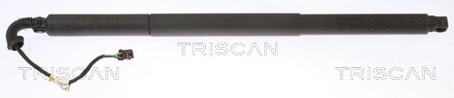 871029308 Triscan