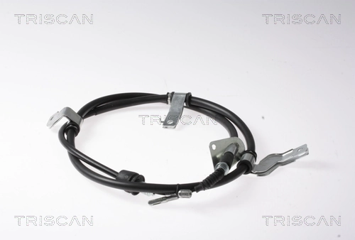 8140431091 Triscan