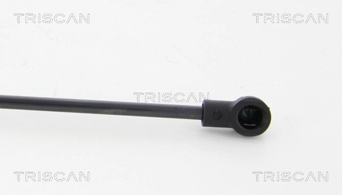 Amortecedor de tampa de porta-malas (de 3ª/5ª porta traseira) 176387 General Motors