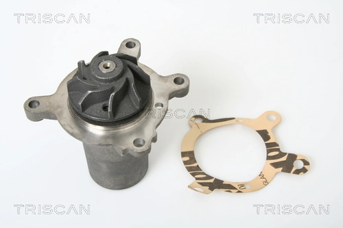 Bomba de água (bomba) de esfriamento para Mercedes 100  631