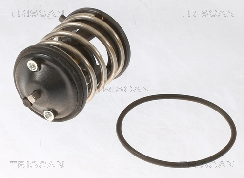 Termostato BMW 1  F21
