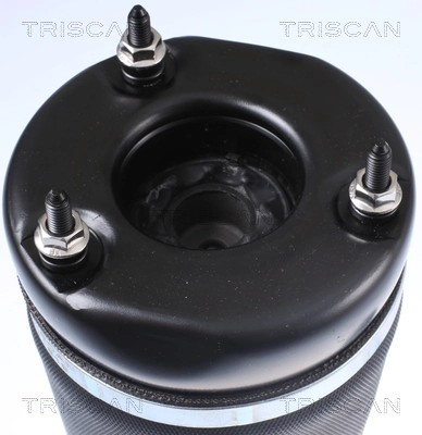 Coxim pneumático (suspensão de lâminas pneumática) do eixo dianteiro Magneti Marelli 6013AB