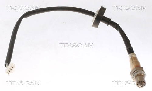 884510012 Triscan