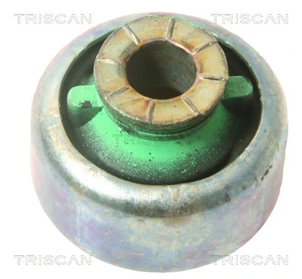 850010816 Triscan