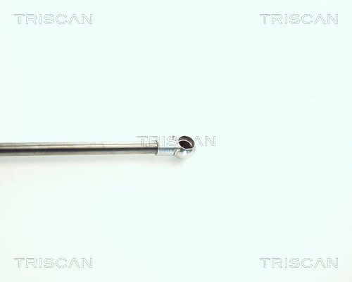 Amortecedor de tampa de porta-malas (de 3ª/5ª porta traseira) Triscan 871011216 preço, a partir de 13,77 USD
