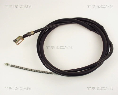 814010118 Triscan