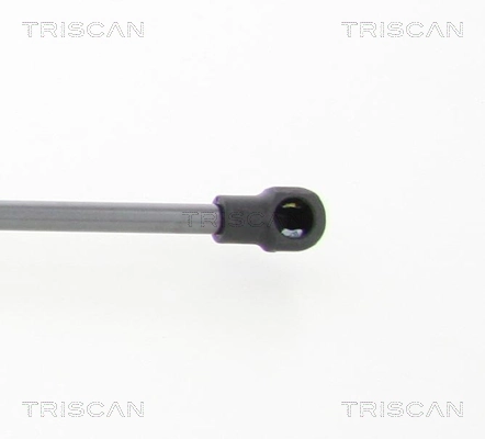 Amortecedor de tampa de porta-malas (de 3ª/5ª porta traseira) BMW 51249808987 preço, a partir de 16,36 USD