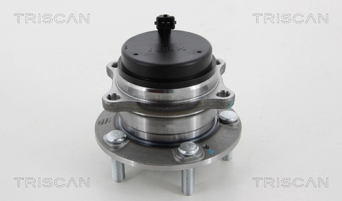 Cubo traseiro Hyundai Santa Fe II CM