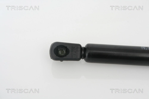 GS0356 Magneti Marelli Amortecedor de tampa de porta-malas (de 3ª/5ª porta traseira)
