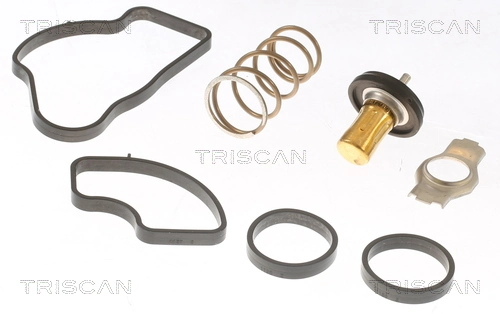 Caixa do termostato 55275654 Peugeot/Citroen