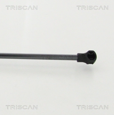 Amortecedor da capota Renault Kangoo II FW0