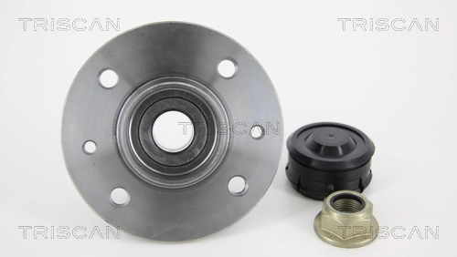 Cubo traseiro Renault Kangoo I FC0, FC1