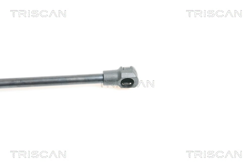 Compre Amortecedor da capota Citroen C5 1