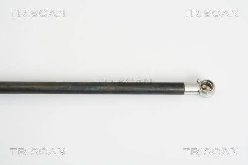 Amortecedor de tampa de porta-malas (de 3ª/5ª porta traseira) PLUS AFTERMARKET 8192559