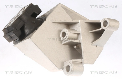 850525110 Triscan