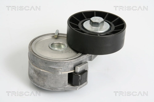  Reguladora de tensão da correia de transmissão Citroen Jumper сaixa (230L) (1994 - 2002) 