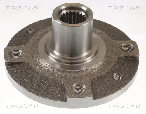 Cubo dianteiro para Renault Twingo I C06