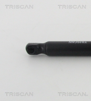 Amortecedor de tampa de porta-malas (de 3ª/5ª porta traseira) 904507914R Renault (RVI)