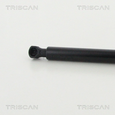  Amortecedor da capota Renault Kangoo II сaixa (FW0) (2008 - 2021) II