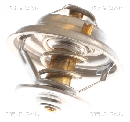 Compre Termostato MAN TGX 1