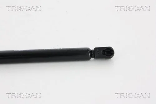 Amortecedor de tampa de porta-malas (de 3ª/5ª porta traseira) Peugeot/Citroen 13258179