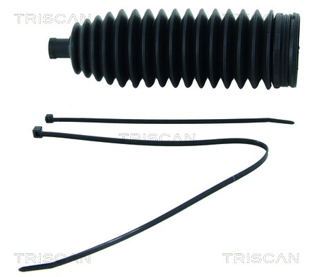 850010018 Triscan