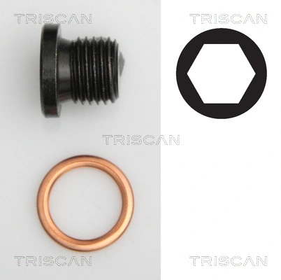 95002906 Triscan
