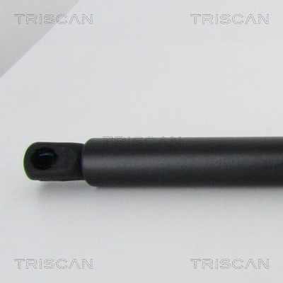 Compre 13258179 Peugeot/Citroen Amortecedor de tampa de porta-malas (de 3ª/5ª porta traseira)