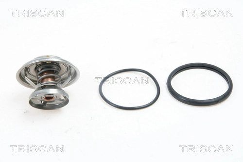 Termostato Hyundai/Kia 6062030275
