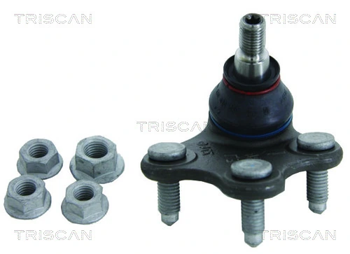 8500295024 Triscan