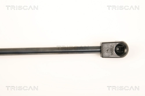Amortecedor de tampa de porta-malas (de 3ª/5ª porta traseira) Hyundai I20 I PB