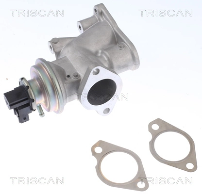 Compre EV117 Magneti Marelli Válvula EGR de recirculação dos gases
