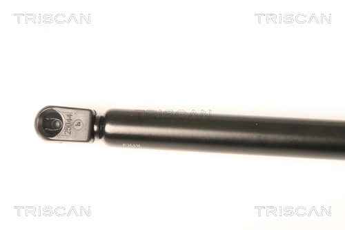 Amortecedor da capota para Volkswagen Passat CC B6 357