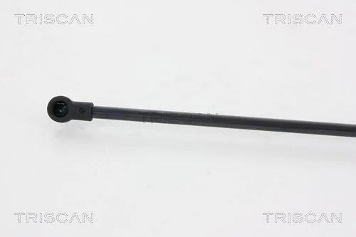 Compre 08530650 Montcada Amortecedor de tampa de porta-malas (de 3ª/5ª porta traseira)