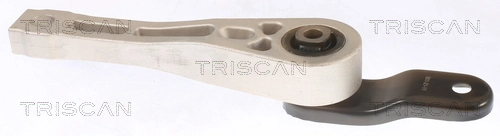 Compre Coxim (suporte) traseiro de motor Seat Leon 2