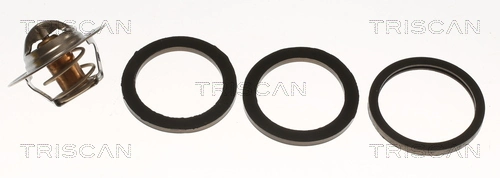 86205488 Triscan