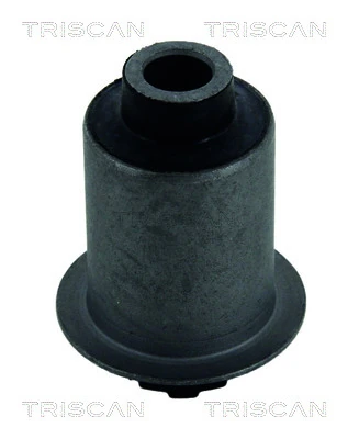 Bloco silencioso dianteiro do braço oscilante inferior para Nissan Cabstar NT400 F24M
