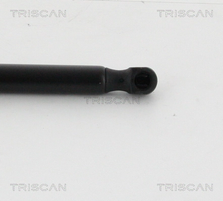 Amortecedor de tampa de porta-malas (de 3ª/5ª porta traseira) Triscan 871016262 preço, a partir de 21,87 USD