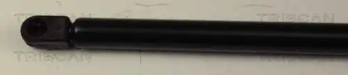 Amortecedor de tampa de porta-malas (de 3ª/5ª porta traseira) para Nissan Primera  WP11